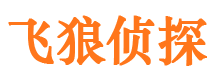 措勤市调查公司